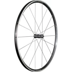 Bontrager Paradigm Comp TLR